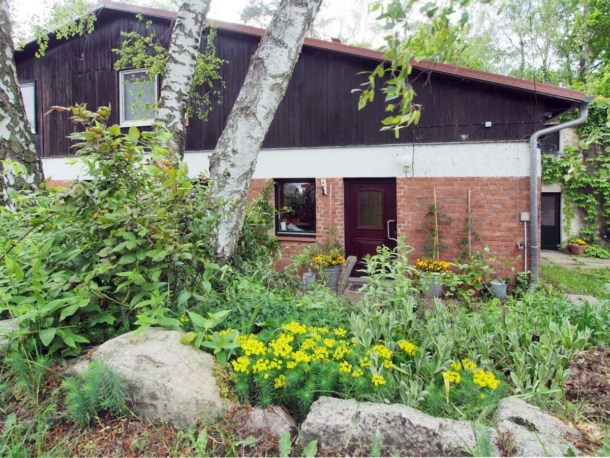 Ferienwohnung Am Duemmer See Dummer Exterior photo