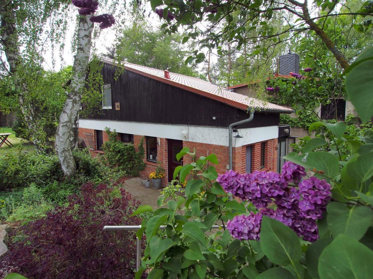 Ferienwohnung Am Duemmer See Dummer Exterior photo