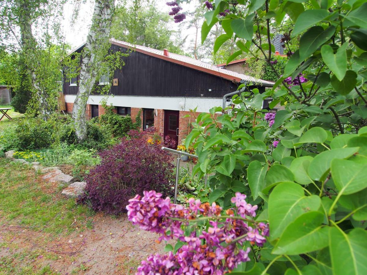Ferienwohnung Am Duemmer See Dummer Exterior photo