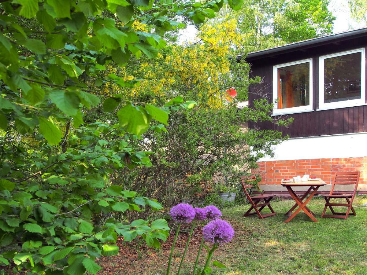 Ferienwohnung Am Duemmer See Dummer Exterior photo