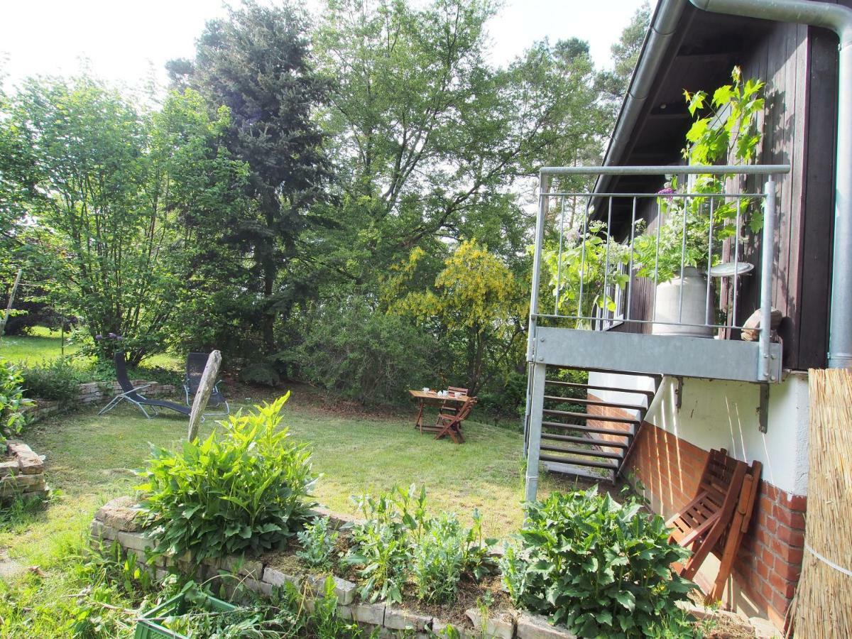 Ferienwohnung Am Duemmer See Dummer Exterior photo